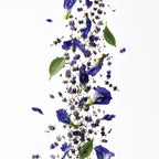 Mystic Blue